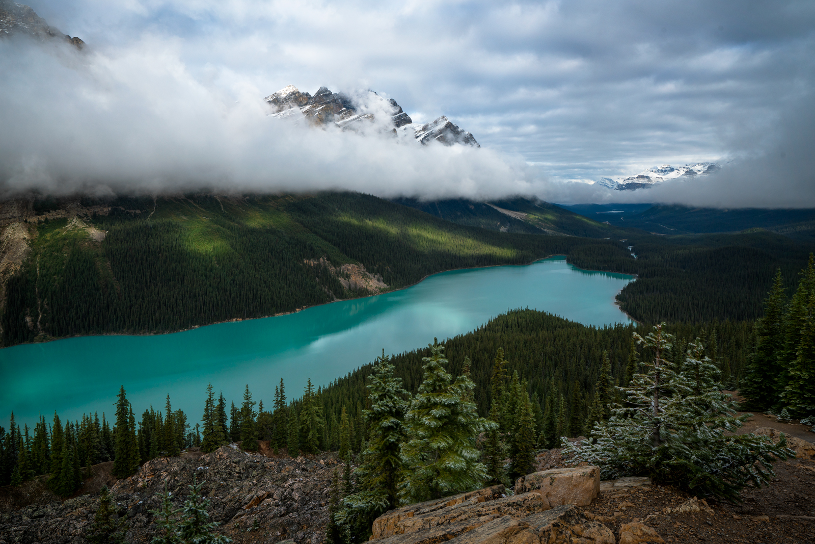 Peyto Lake on the Jasper Photography Workshop.